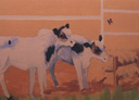 Wall Art by Allyson, Calves, farm mural, cow mural,calf mural, domestic animal mural, mural,hand painted mural,wall art